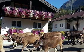 Ferienwohnung Schanzenblick